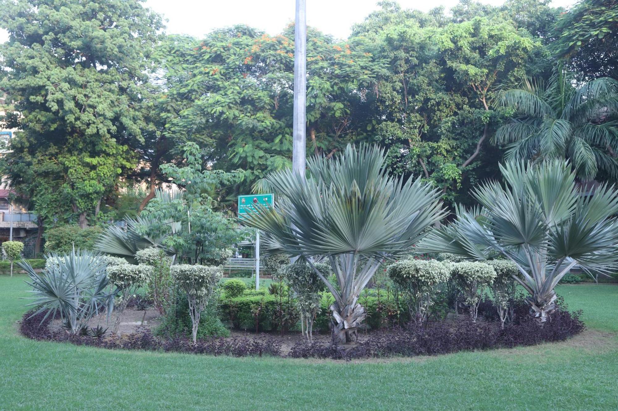 Divine India Service Apartment 3Bhk,B57 Sarita Vihar,Apollo New Delhi Exterior photo
